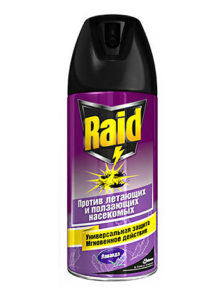 Raid contra chionches